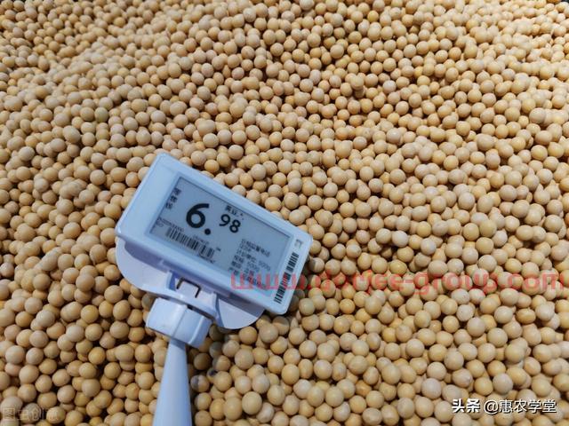 大豆目前多少錢一斤？豆價為何一路上漲？2021年11月大豆價格行情