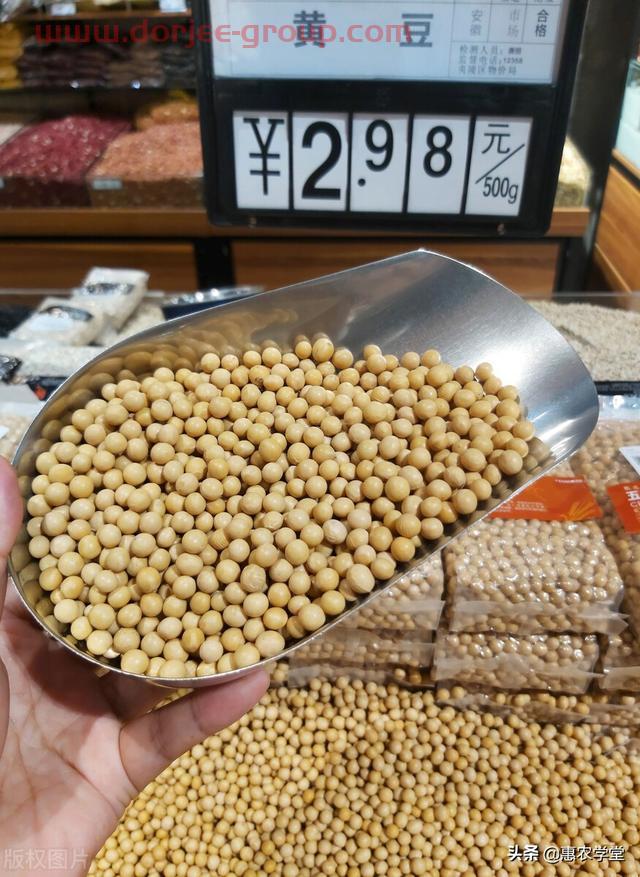 大豆目前多少錢一斤？豆價為何一路上漲？2021年11月大豆價格行情