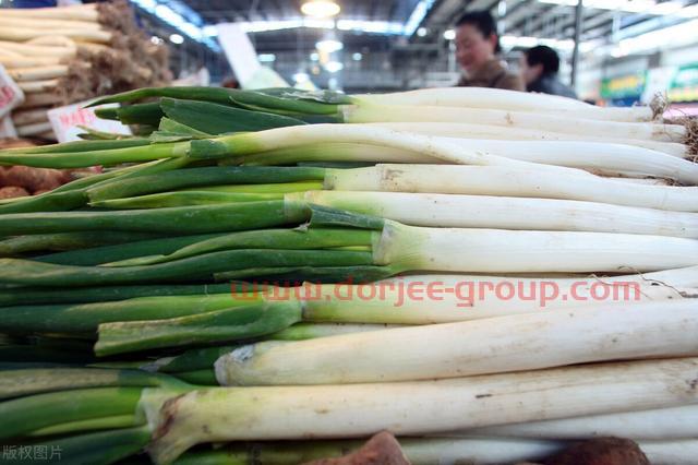 大蔥價(jià)格漲價(jià)了，什么原因造成的？