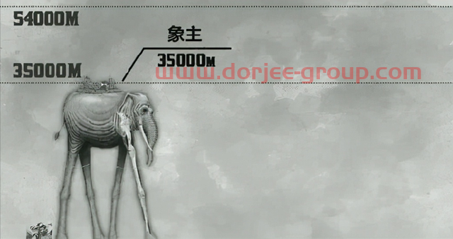 海賊王：1037話巨大身影確定為象主，恐怖戰(zhàn)力可抵消世界政府戰(zhàn)艦