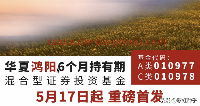 NO.572｜華夏基金蔡向陽-華夏鴻陽6個月持有，值不值得買？